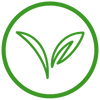 VEGAN