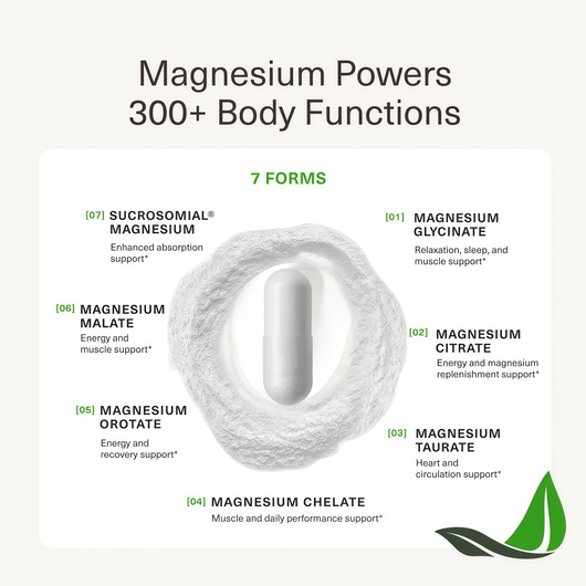 BIOptimizers Magnesium Breakthrough 500mg, 7 Forms of Magnesium 30 Capsules Glycinate, Malate, Citrate & More for Restful Sleep, Stress Resilience & Muscle Recovery