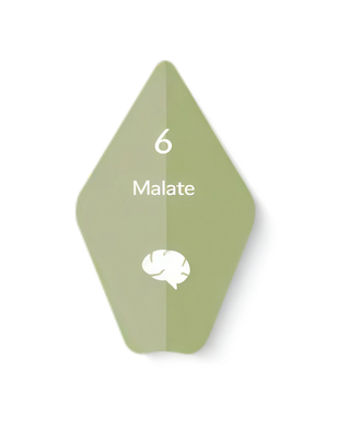 Magnesium Malate