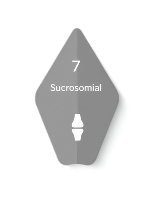 Sucrosomial Magnesium